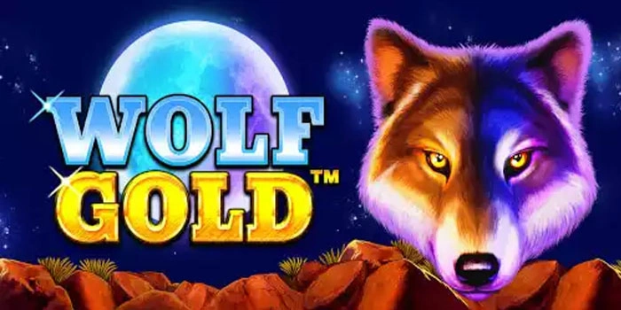 Cara Membaca Pola Wolf Gold Agar Hasil Taruhan Lebih Optimal