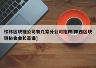 榆林区块链公司有几家分公司招聘[陕西区块链协会会长是谁]